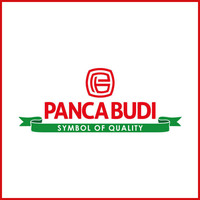 Social Media Staff di PT Panca Budi Pratama