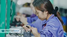 13 Peluang Kerja Terbaik di Jepang untuk Pekerja Asing