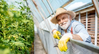 Peluang Usaha di Bidang Agribisnis Tanaman