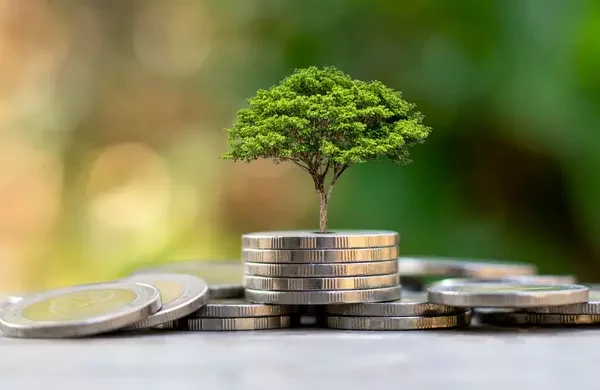 Tips Investasi Paling Terpercaya untuk Pemula di Dunia Bisnis