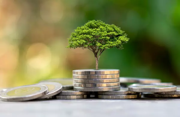 Tips Investasi Paling Terpercaya untuk Pemula di Dunia Bisnis