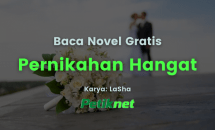 Baca Novel Pernikahan Hangat
