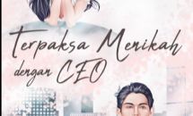 Novel Terpaksa Menikah dengan CEO