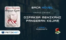 Baca Novel Dipaksa Menikahi Pangeran Kejam Pdf Full Episode Gratis