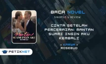Novel Cinta Setelah Perceraian: Mantan Suami Ingin Aku Kembali