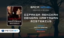 Novel Dipaksa Menikah dengan Hartawan Misterius by Irita Sarkar