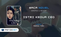 Novel Istri Kedua CEO Full Episode by Aeris Park Novel Istri Kedua CEO Full Episode by Aeris Park