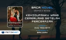 Link Baca dan Download Novel Kehidupanku yang Cemerlang Setelah Perceraian Pdf Full Episode Gratis