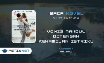 Baca dan Unduh Novel Vonis mandul ditengah kehamilan istriku Full Episode Pdf
