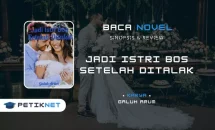 Link Baca dan Unduh Novel Jadi Istri Bos Setelah Ditalak Full Episode Pdf Free