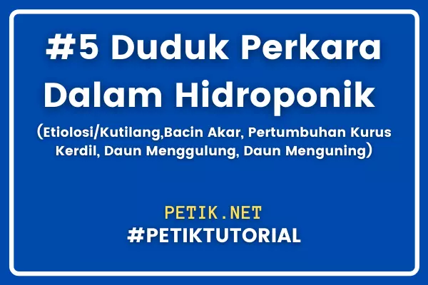 #5 Duduk Perkara Dalam Hidroponik