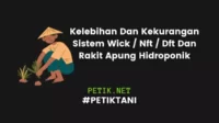 Kelebihan Dan Kekurangan Sistem Wick Nft Dft Dan Rakit Apung Hidroponik