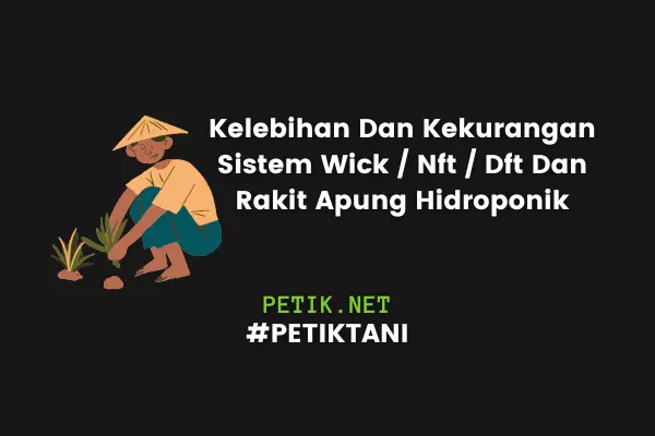Kelebihan Dan Kekurangan Sistem Wick Nft Dft Dan Rakit Apung Hidroponik
