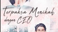 Baca Novel Terpaksa Menikah dengan CEO Full Episode Gratis (Update)