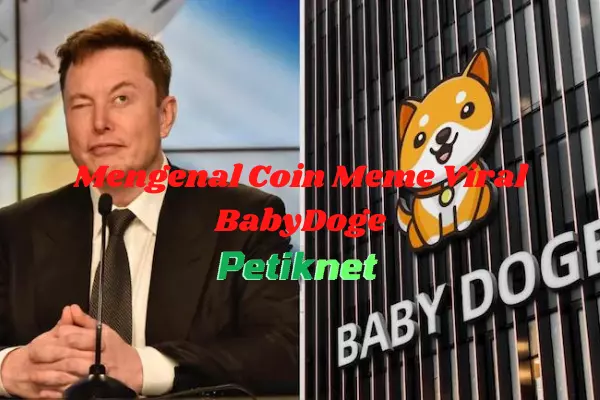 babydoge coin