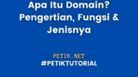 Apa Itu Domain? Domain Adalah: Pengertian, Fungsi & Jenisnya