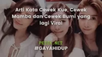 Arti Kata Cewek Kue, Cewek Mamba dan Cewek Bumi yang lagi Viral