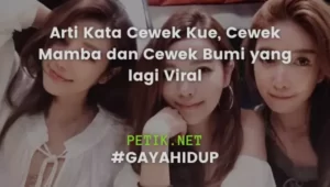Arti Kata Cewek Kue, Cewek Mamba dan Cewek Bumi yang lagi Viral