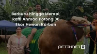 Berburu hingga Merapi, Raffi Ahmad Potong 30 Ekor Hewan Kurban