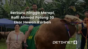Berburu hingga Merapi, Raffi Ahmad Potong 30 Ekor Hewan Kurban