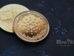 Upgrade Vasil Cardano Ditunda Lagi untuk Pengujian Lebih Lanjut