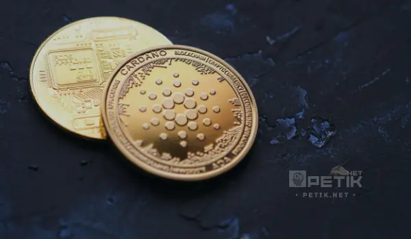 Upgrade Vasil Cardano