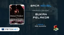 Baca Novel Bukan Pelakor Pdf Full Episode Gratis