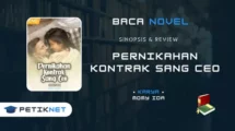 Baca Novel Pernikahan Kontrak Sang CEO Pdf Full Episode