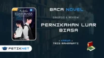 Review Novel Pernikahan Luar Biasa Karya Tris rahmawati