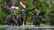 Kutipan Dan Kata Mutiara Sambut HUT Ke-77 Republik Indonesia 17 Agustus