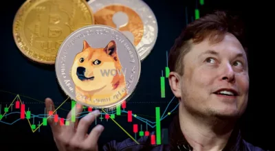 Elon Musk Menjadi Pemilik Twitter, Doge Coin Terbang 111 Persen