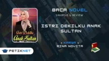 Link Baca Novel Istri Dekilku Anak Sultan Full Episode