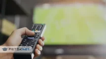 Cara Mendapatkan Set Top Box (STB) gratis dari pemerintah