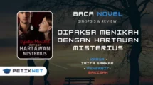 Novel Dipaksa Menikah dengan Hartawan Misterius by Irita Sarkar