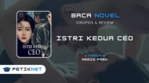 Novel Istri Kedua CEO Full Episode by Aeris Park