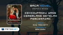 Novel Kehidupanku yang Cemerlang Setelah Perceraian