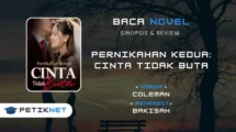 Novel Pernikahan Kedua Cinta Tidak Buta by COLEMAN