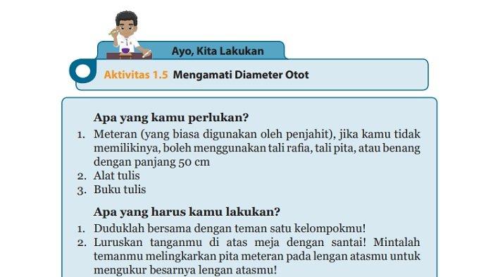 Kunci Jawaban IPA Kelas 8 SMP Halaman 34 Semester 1: Diameter Otot