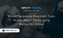 Review Kisah Cinta Novel Terpaksa Menikahi Tuan Muda
